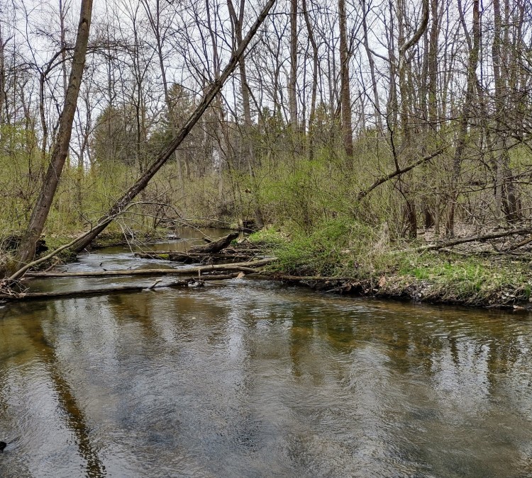 brandywine-creek-nature-park-photo